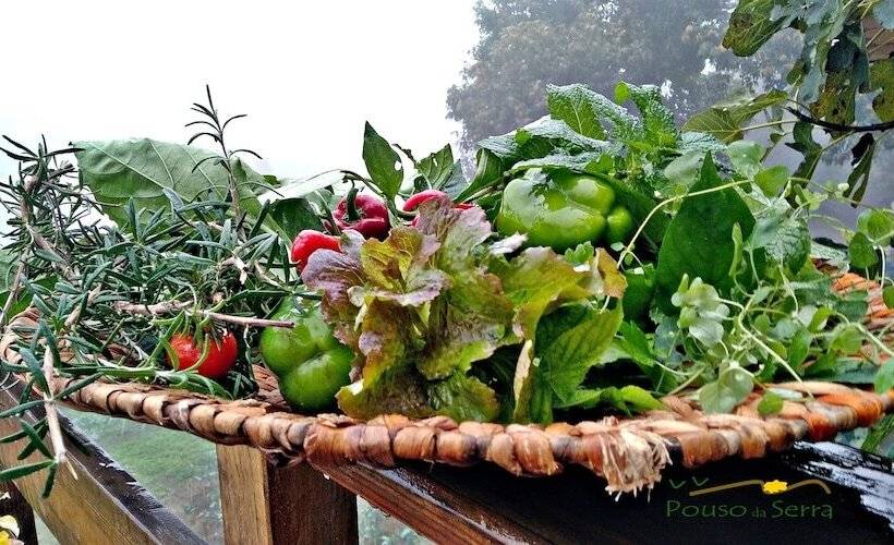 ペンション Chale Pouso Da Serra   Casas De Montanha