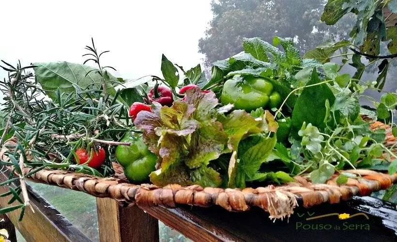 ペンション Chale Pouso Da Serra   Casas De Montanha
