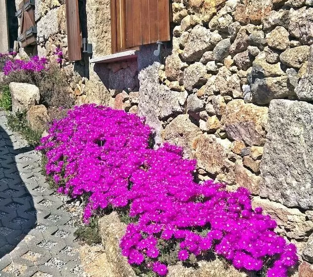 ペンション Chale Pouso Da Serra   Casas De Montanha