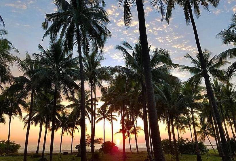 پانسیون Turtle Egg Cove Ngapali