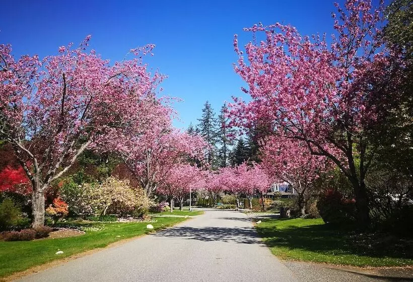 پانسیون White Rock Pacific
