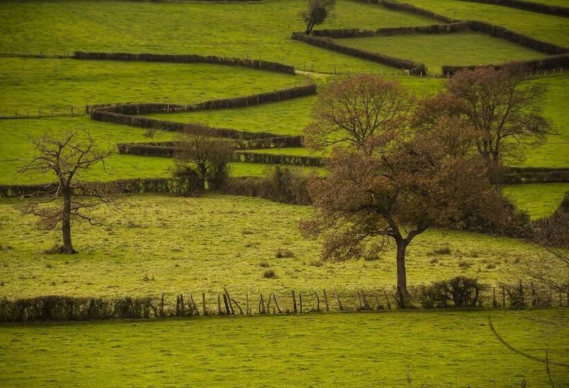 Casa Rural Peña Careses