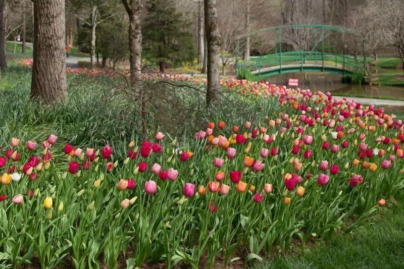 Forrest Hills Mountain Resort