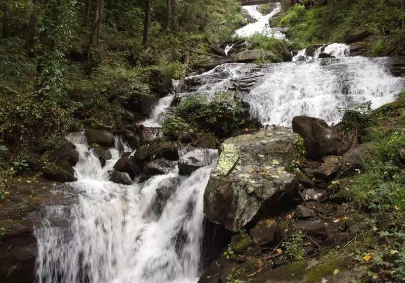 Forrest Hills Mountain Resort