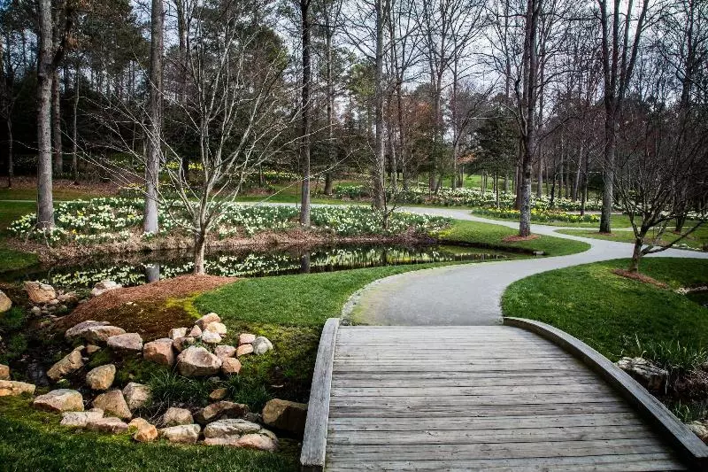 Forrest Hills Mountain Resort