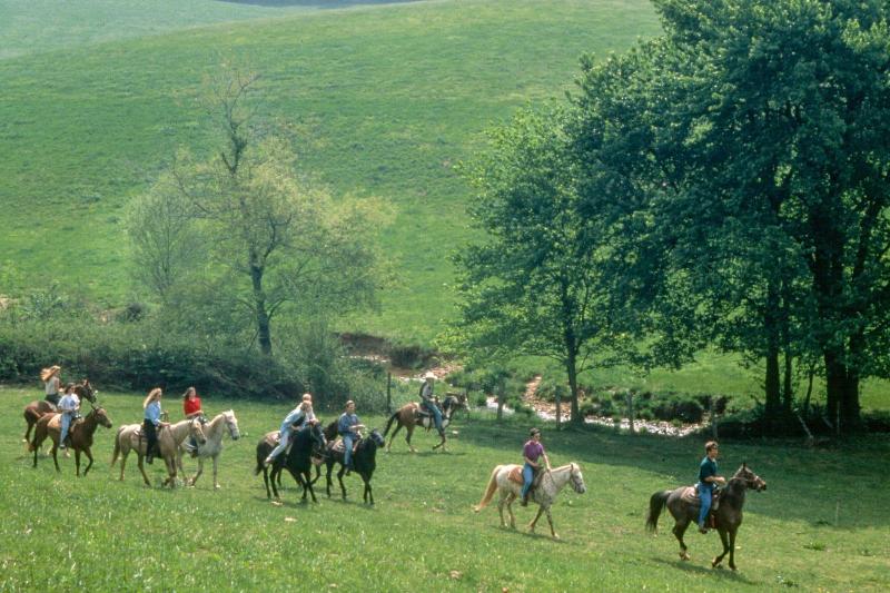 Forrest Hills Mountain Resort