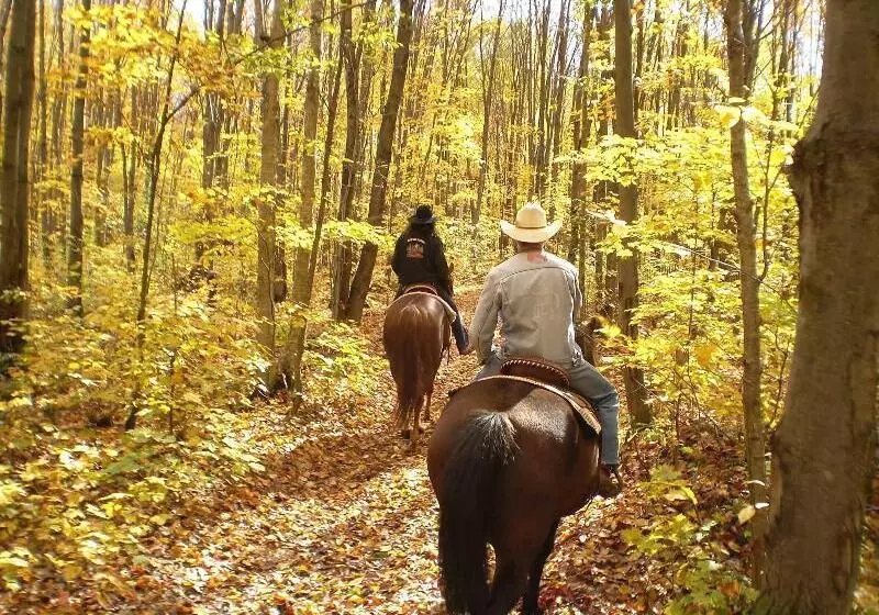 Forrest Hills Mountain Resort