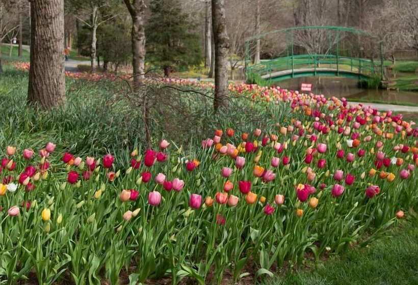 Forrest Hills Mountain Resort