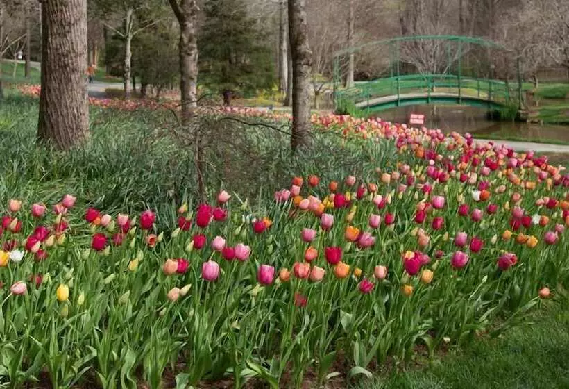 Forrest Hills Mountain Resort