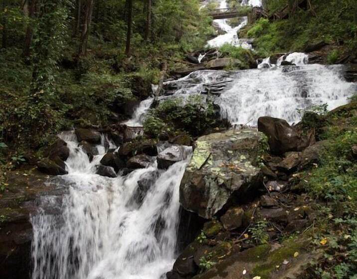 Forrest Hills Mountain Resort