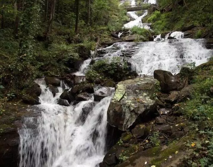 Forrest Hills Mountain Resort