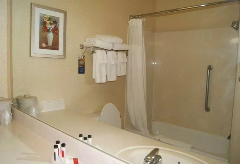 酒店 Baymont By Wyndham Coon Rapids