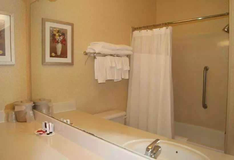 酒店 Baymont By Wyndham Coon Rapids