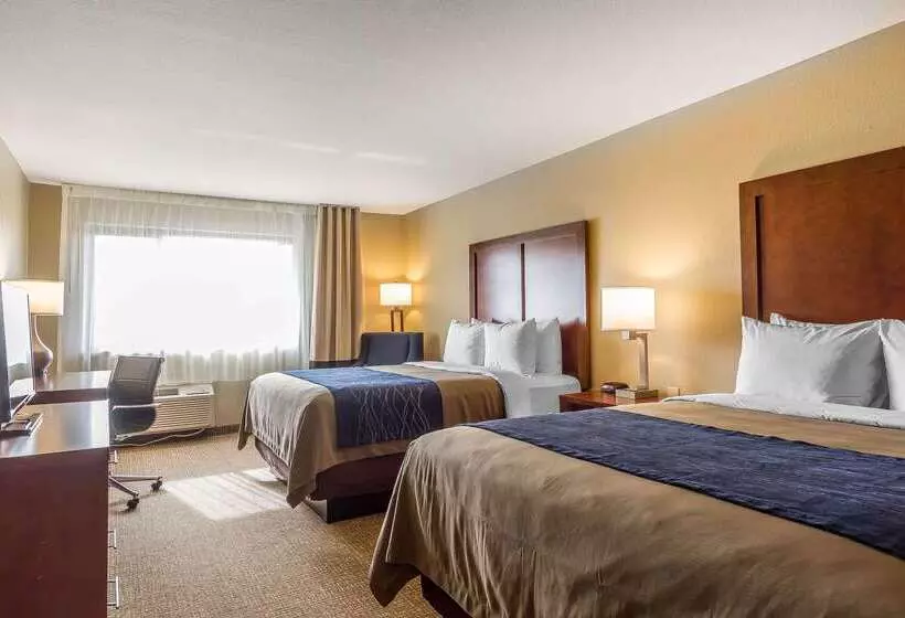 酒店 Comfort Inn & Suites Rocklin   Roseville