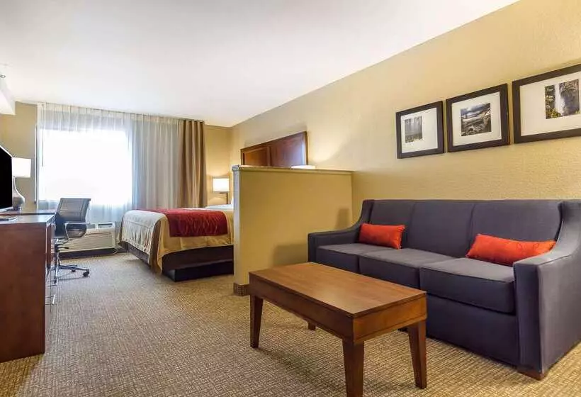 酒店 Comfort Inn & Suites Rocklin   Roseville