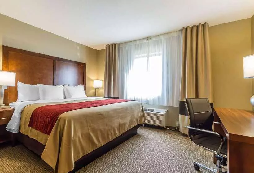 酒店 Comfort Inn & Suites Rocklin   Roseville