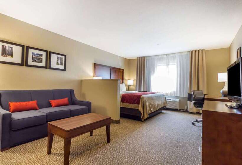 酒店 Comfort Inn & Suites Rocklin   Roseville