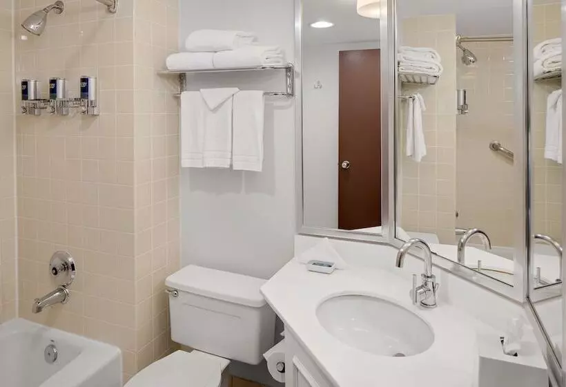 Radisson Hotel Detroit Metro Airport