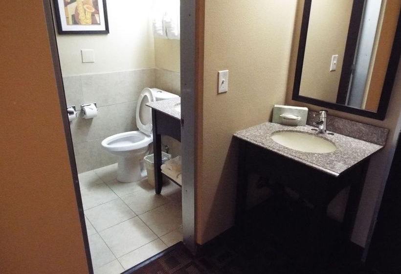 酒店 University Inn Austin North