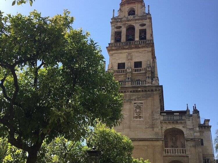 پانسیون Patio De La Plateria