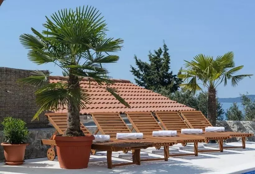 Apartments Villa Aurora 4