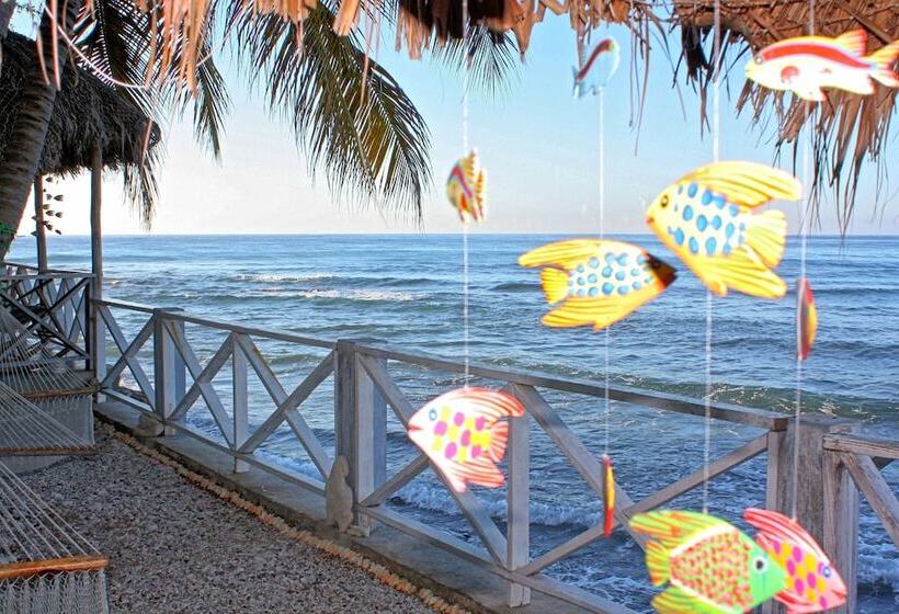 تختخواب و صبحانه Coterelle Breeze