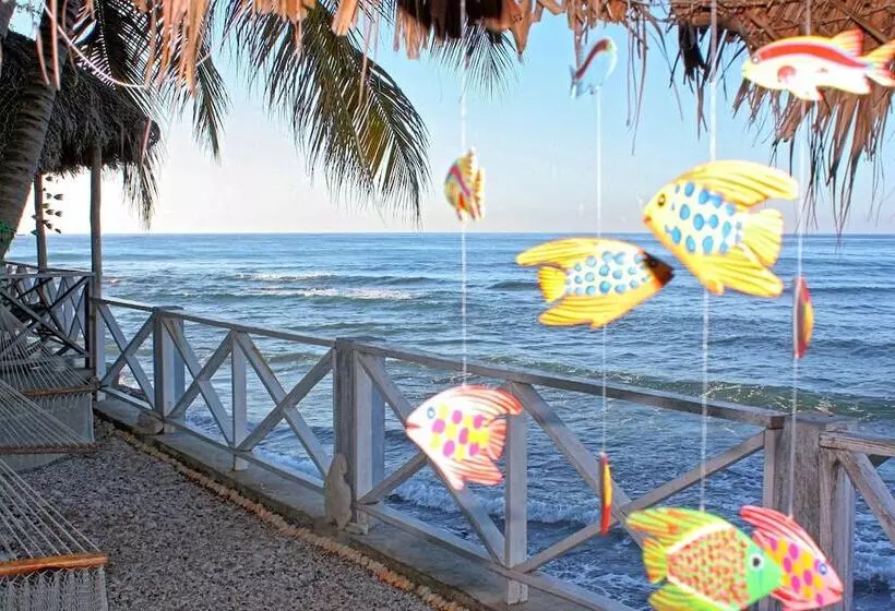 ベッドアンドブレックファースト Coterelle Breeze