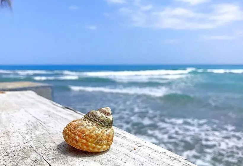 ベッドアンドブレックファースト Coterelle Breeze