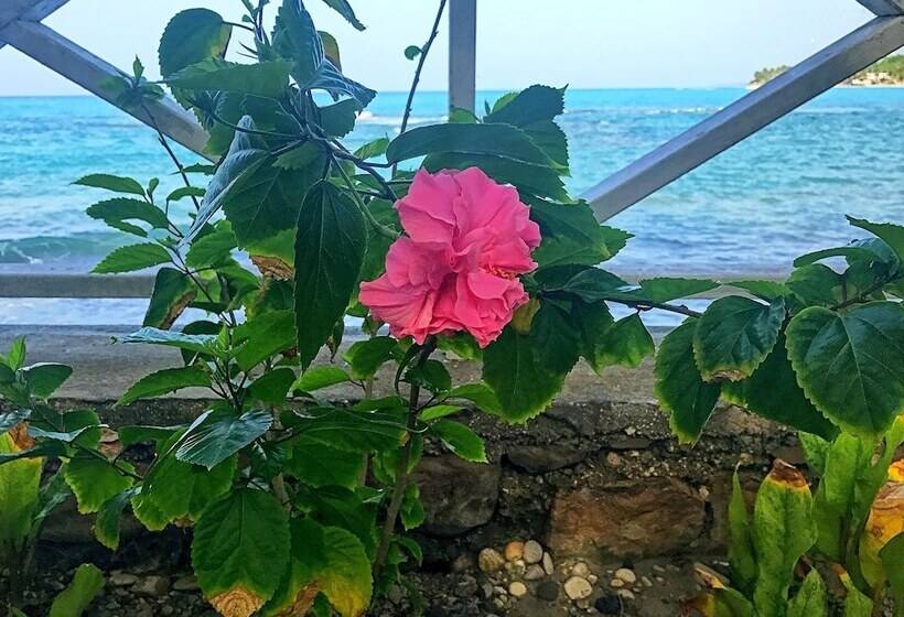 تختخواب و صبحانه Coterelle Breeze