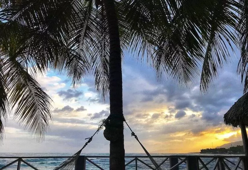 ベッドアンドブレックファースト Coterelle Breeze