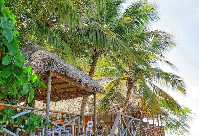 تختخواب و صبحانه Coterelle Breeze