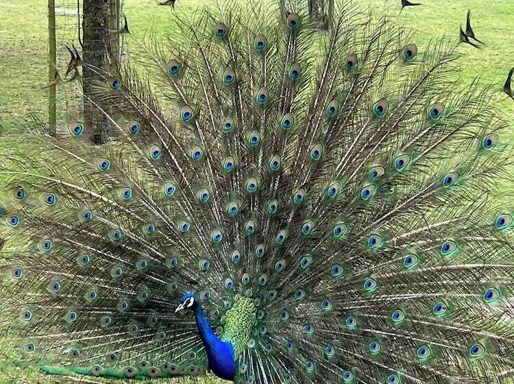 Boutique hotel Het Bloemenhof