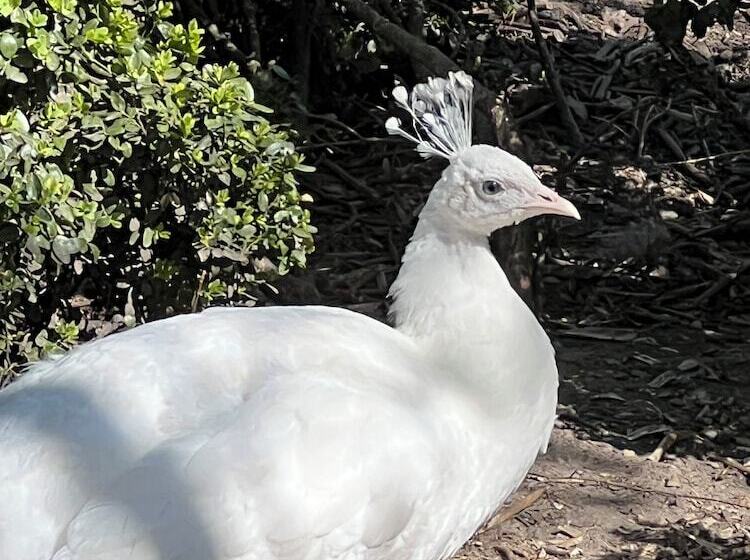 Boutique hotel Het Bloemenhof