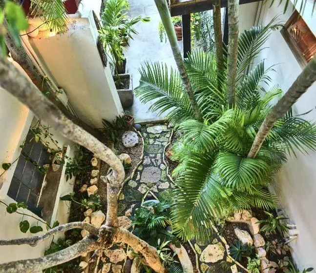 Hostal Don Cenobio