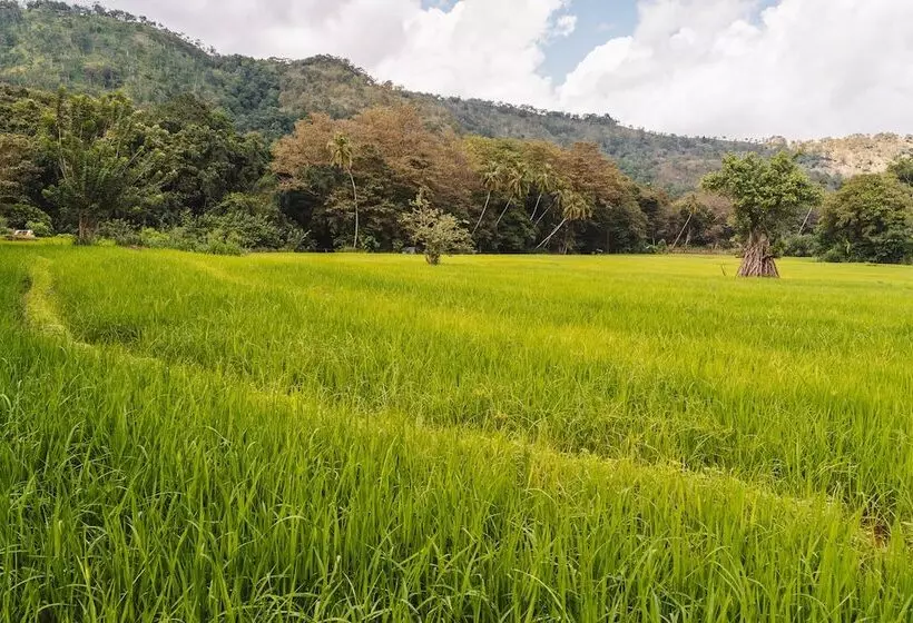 Hotelli Ahaspokuna By Eco Team