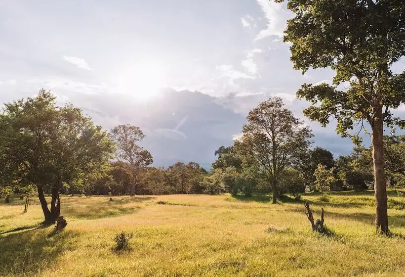 Hotelli Ahaspokuna By Eco Team