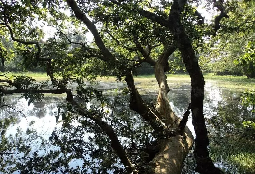 Hotelli Ahaspokuna By Eco Team