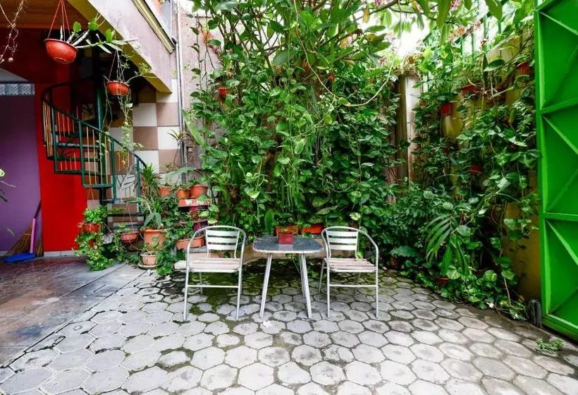 Otel Oyo 2095 Wisma Daun