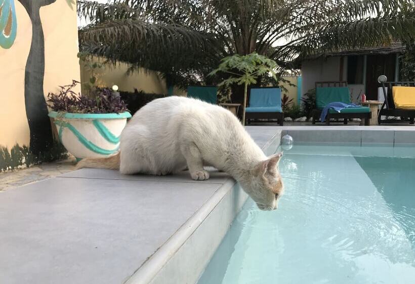 پانسیون Mango Lodge Gambia