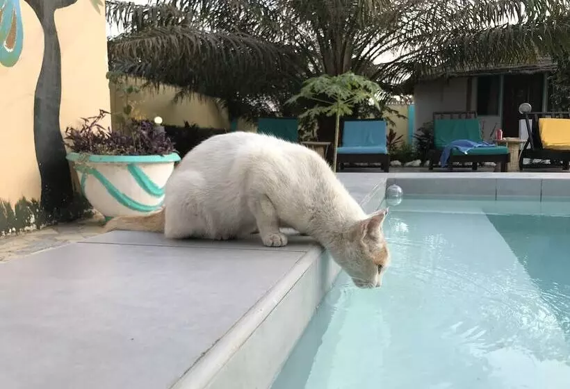 پانسیون Mango Lodge Gambia