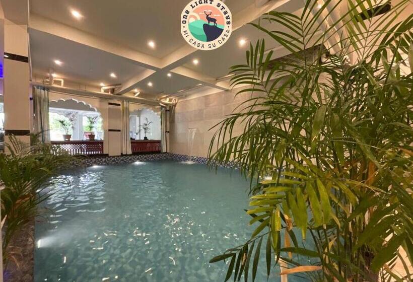 فندق Golden Bird X One Light Stays