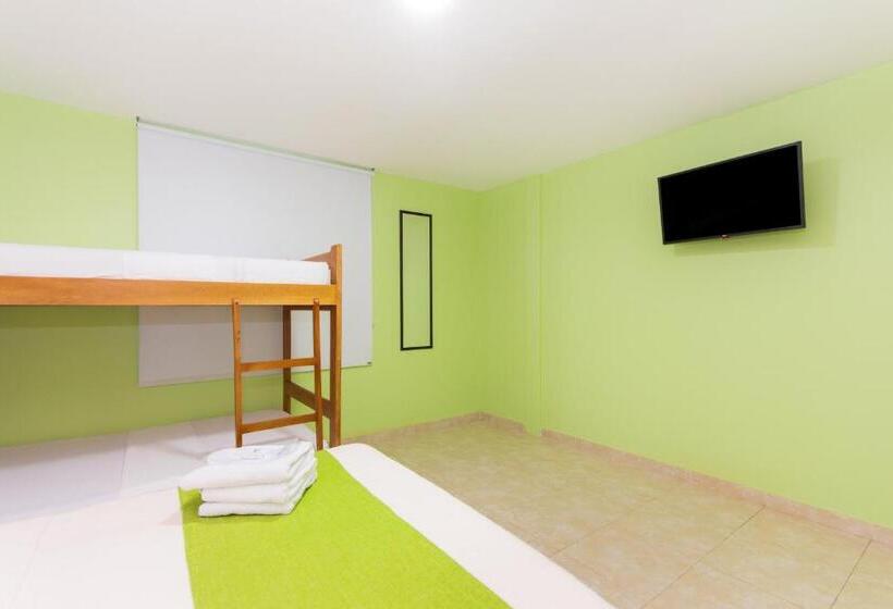 Hotel Avexi Suites By Geh Suites