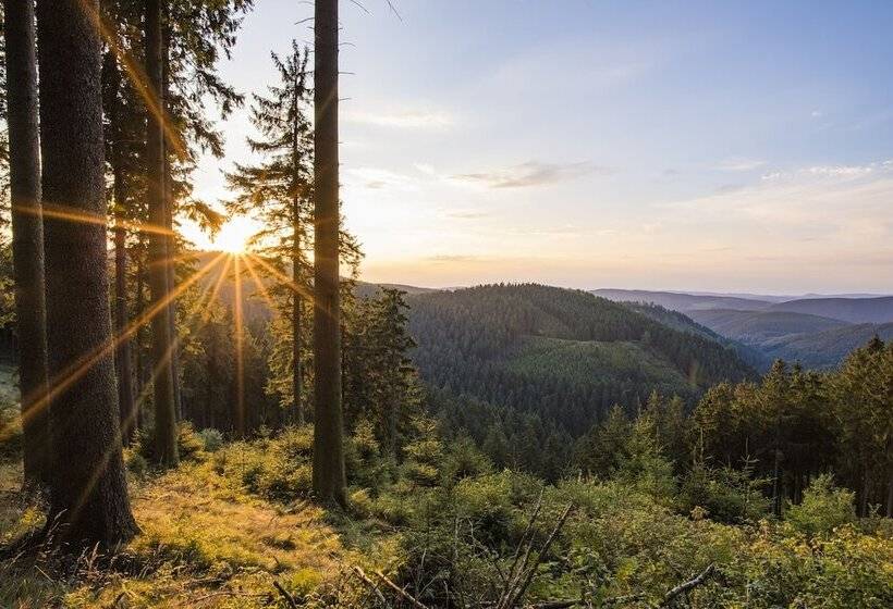 בית מלון כפרי Buiterling