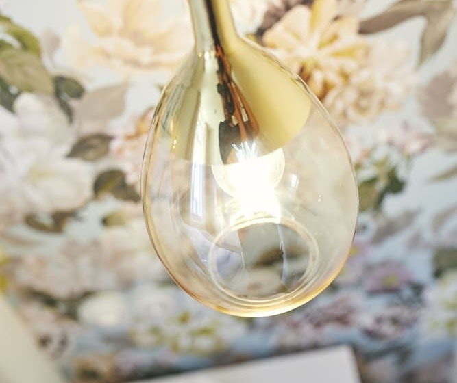 בית מלון כפרי Buiterling