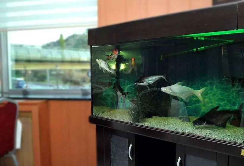 Lion City Hotel Ankara