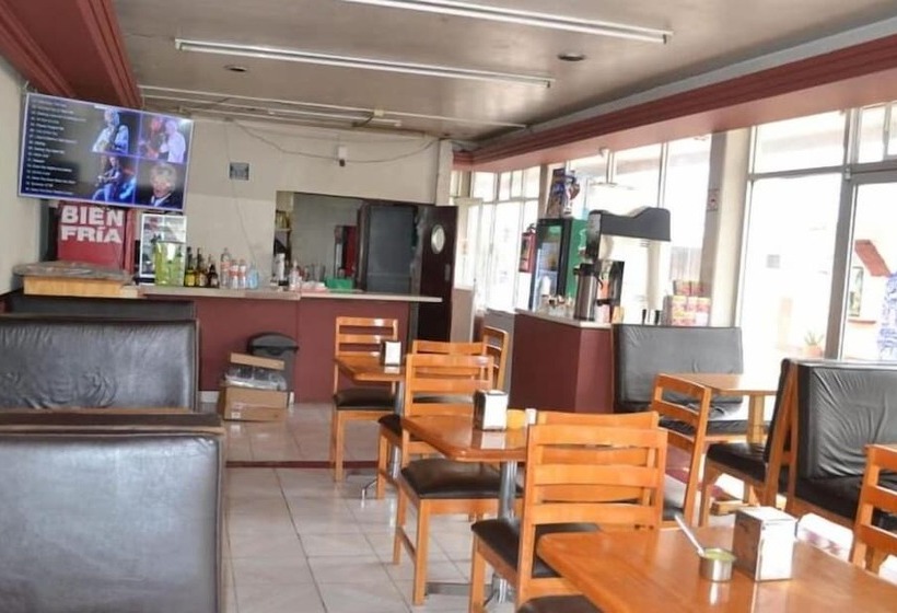 Отель Pachuca Inn