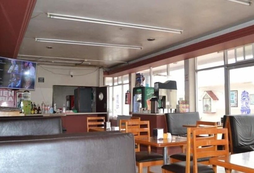 Отель Pachuca Inn