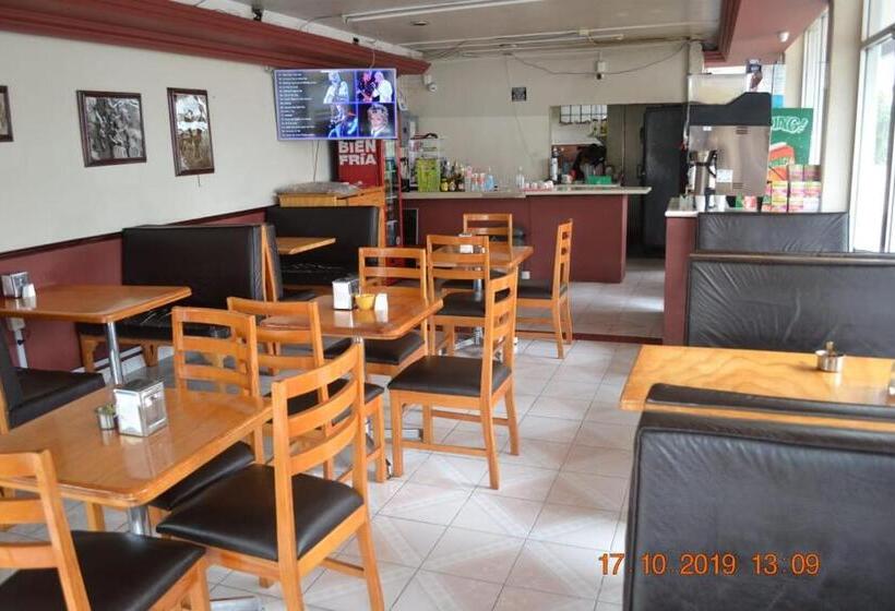 Отель Pachuca Inn