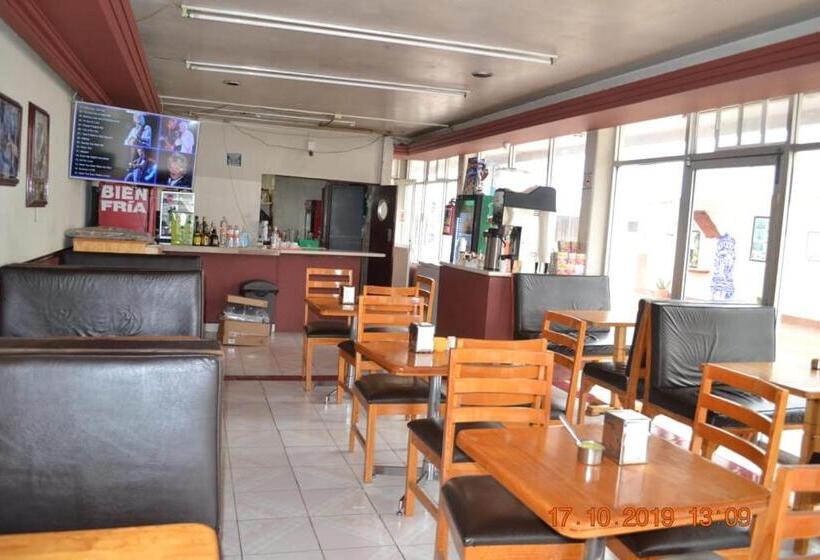 Отель Pachuca Inn