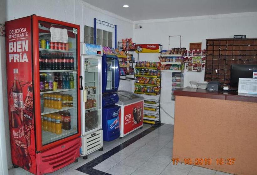 Отель Pachuca Inn